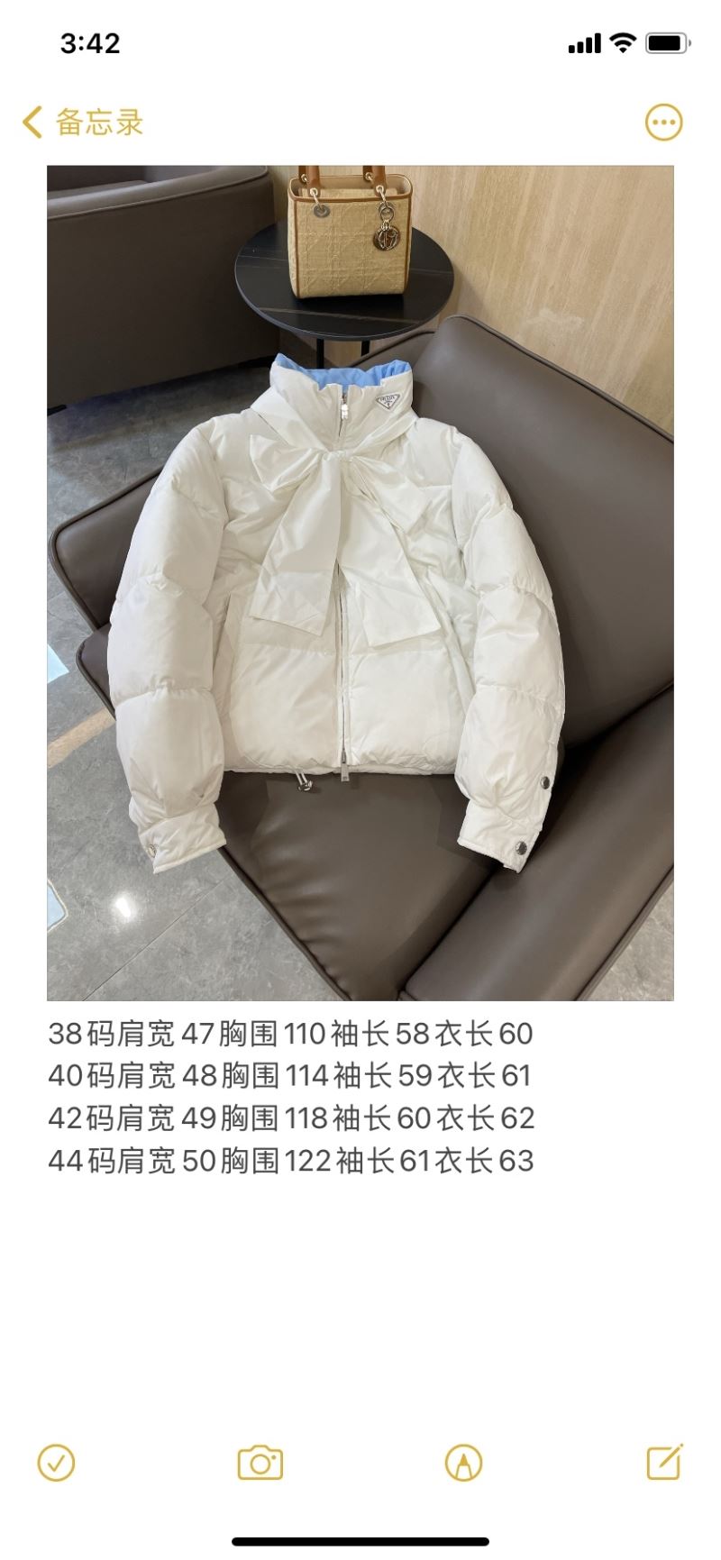 Prada Down Jackets